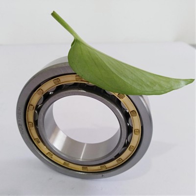 single row and double row cylindrical roller thrust bearing NJ307EM